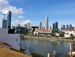 Boat Quay Conservation Area (D1), Shop House #509325571